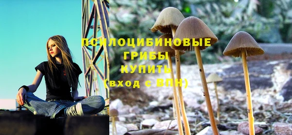 мяу мяу мука Алексеевка