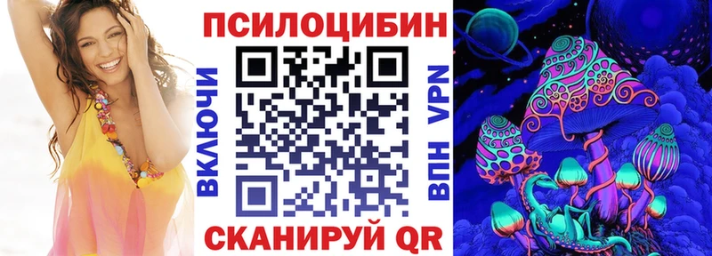 гидра зеркало  Бологое  Галлюциногенные грибы Psilocybe  где можно купить  